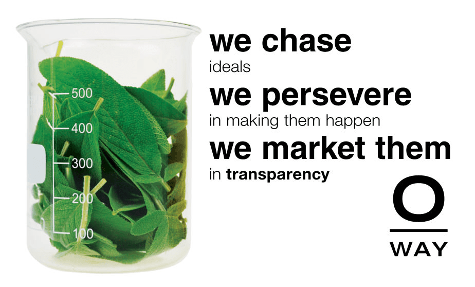 we chase ideals we persevere in making them happen we market them in transparency o-way