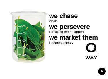 we chase ideals we persevere in making them happen we market them in transparency o-way